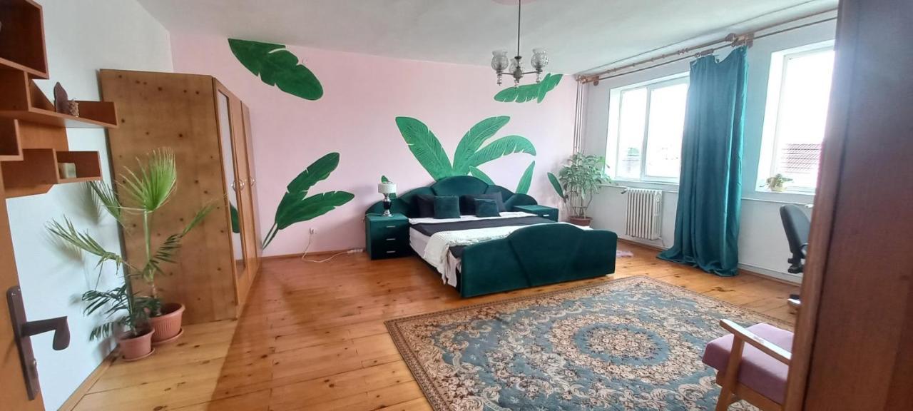 Ferienwohnung Casa Zora Alba Iulia Exterior foto